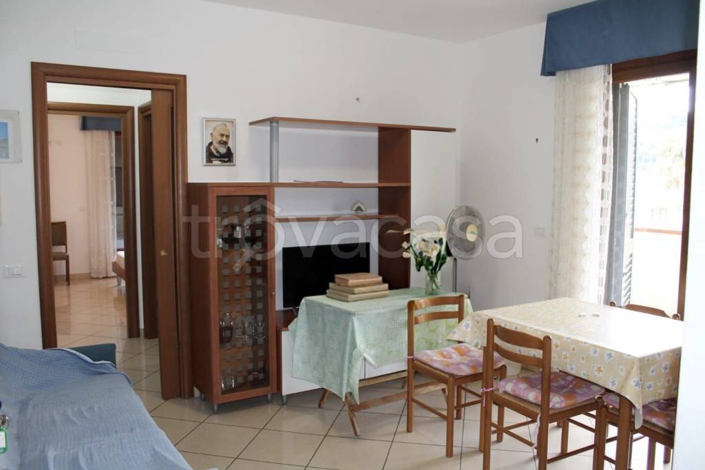 immagine annuncio 2 di 8