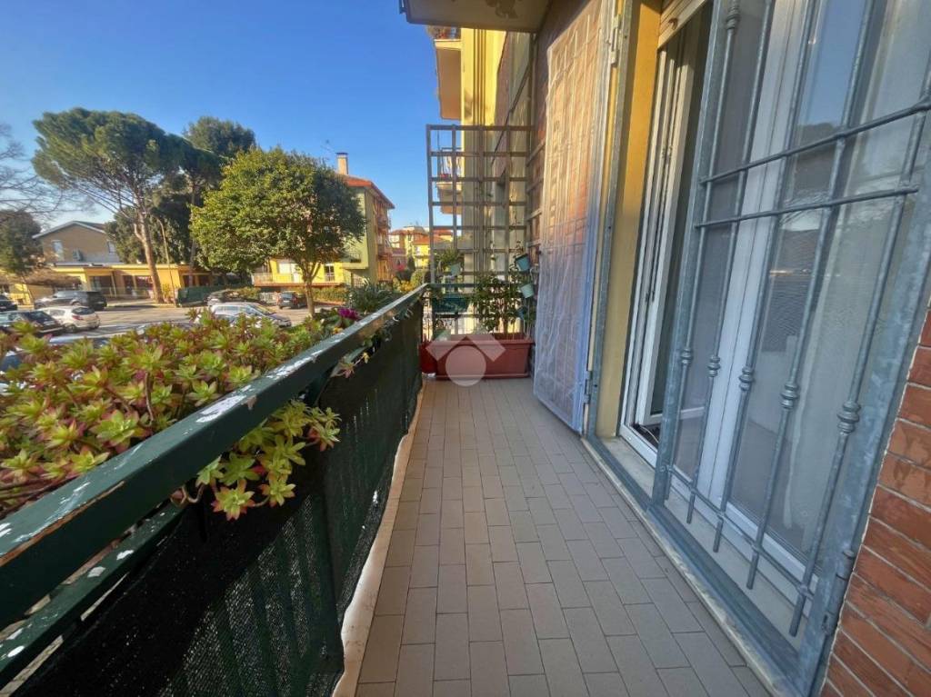 immagine annuncio 7 di 13