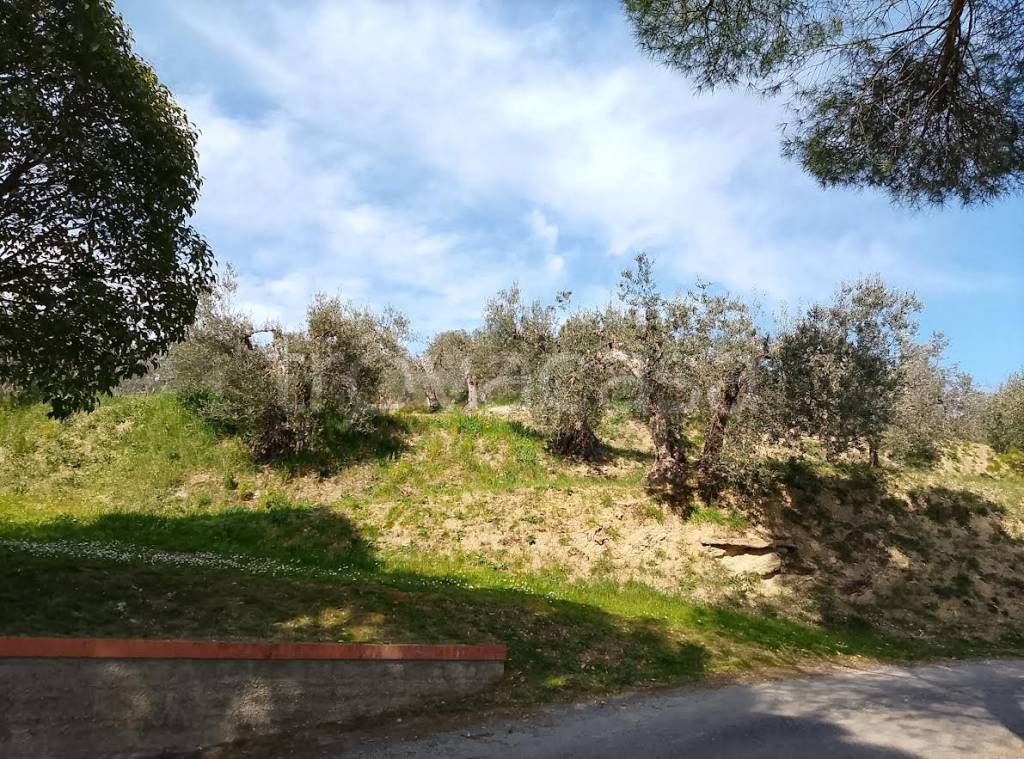 immagine annuncio 5 di 12