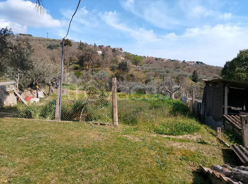 immagine annuncio 6 di 12