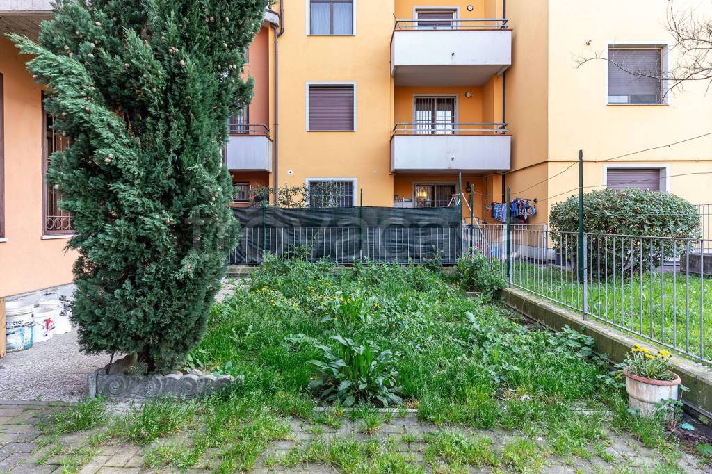 immagine annuncio 12 di 14