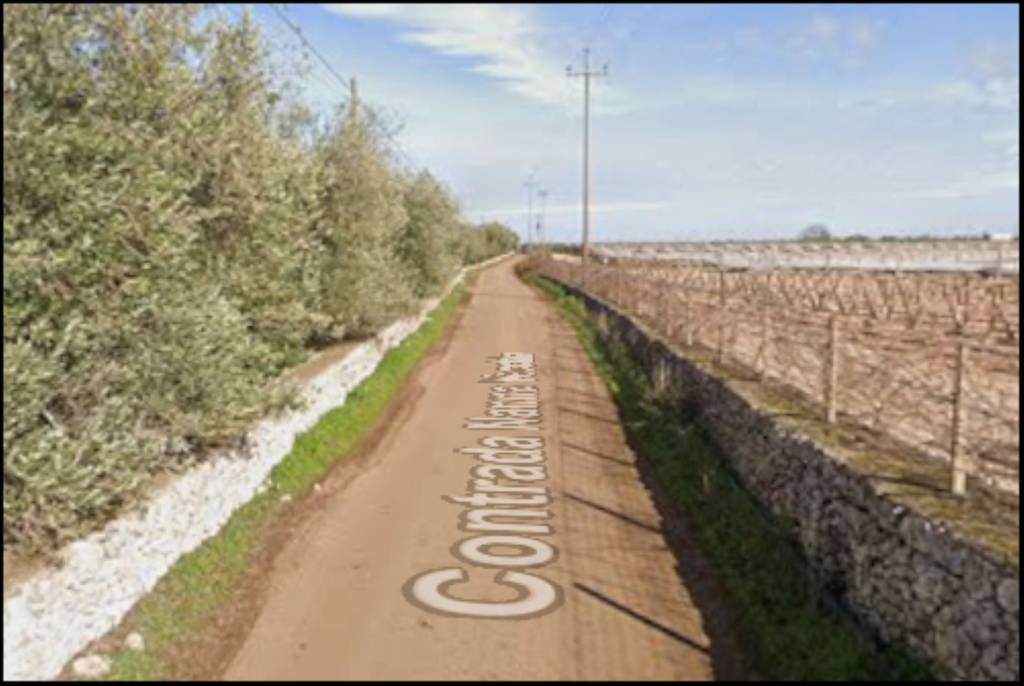immagine annuncio 6 di 12