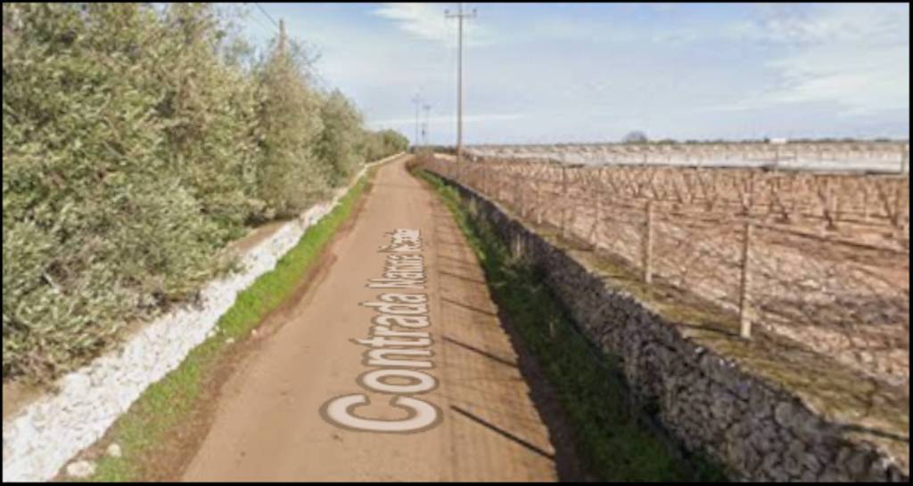 immagine annuncio 9 di 12