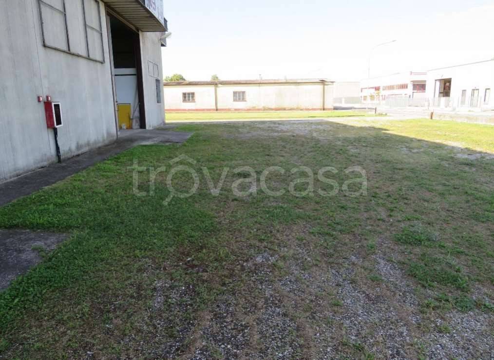 immagine annuncio 5 di 13