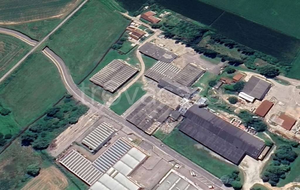 immagine annuncio 9 di 13