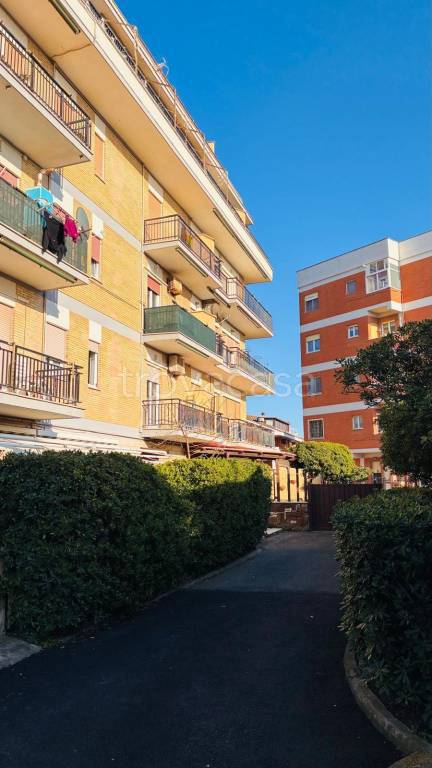 immagine annuncio 11 di 12