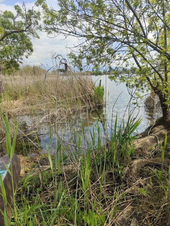 immagine annuncio 3 di 4