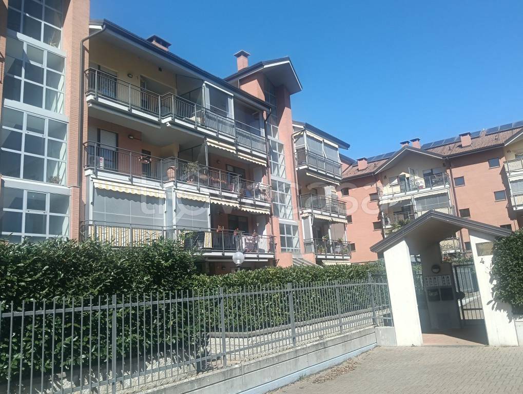 immagine annuncio 1 di 15