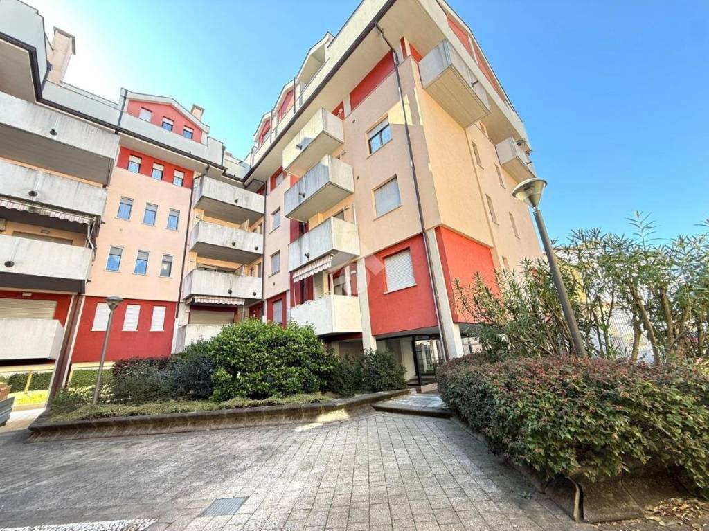 immagine annuncio 12 di 13