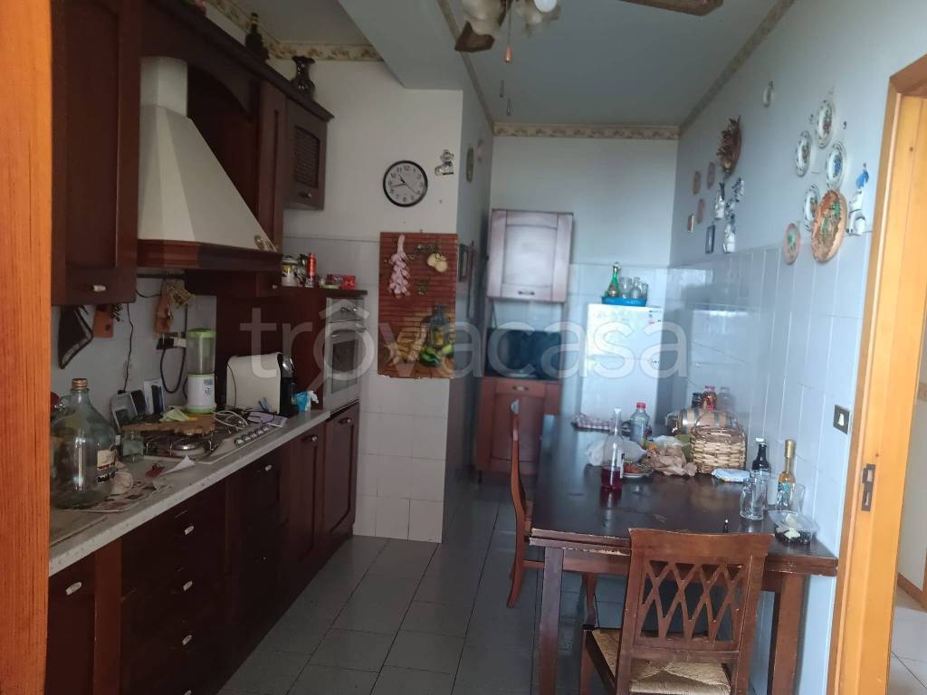 immagine annuncio 5 di 14