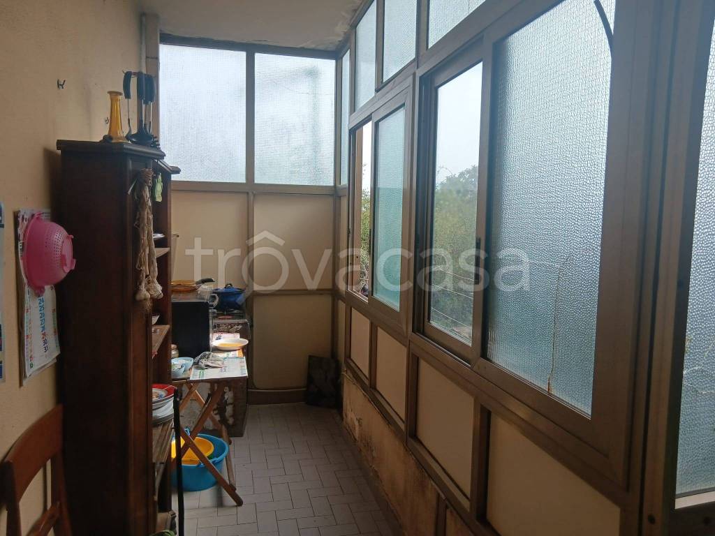 immagine annuncio 6 di 14