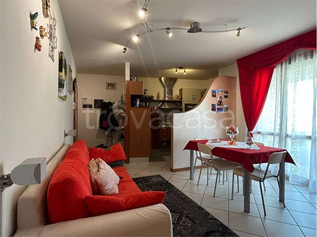 immagine annuncio 7 di 15