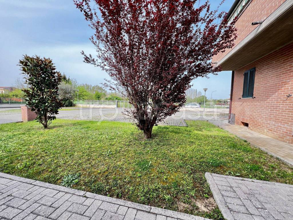 immagine annuncio 12 di 14