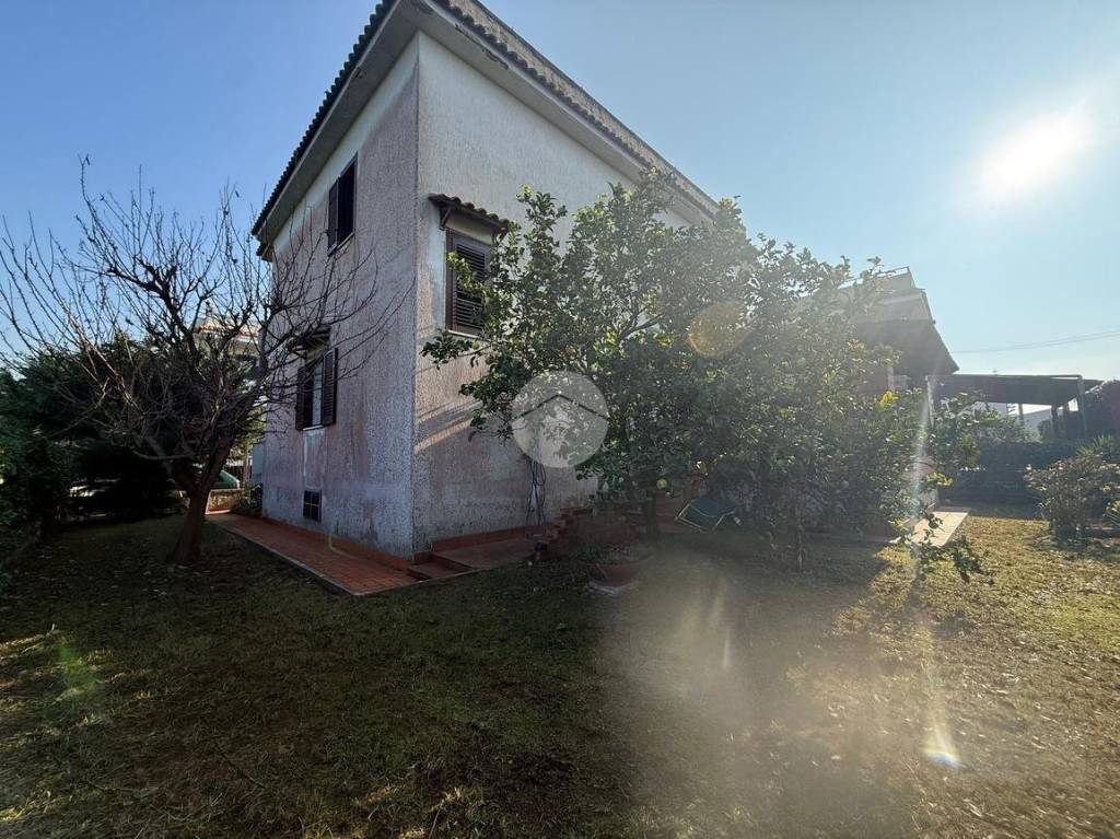 immagine annuncio 2 di 14