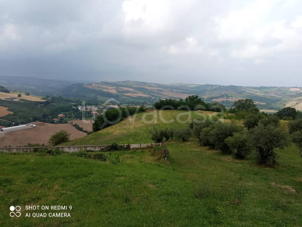 immagine annuncio 3 di 6