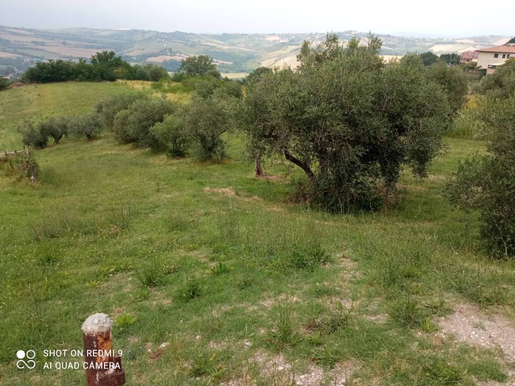 immagine annuncio 4 di 6