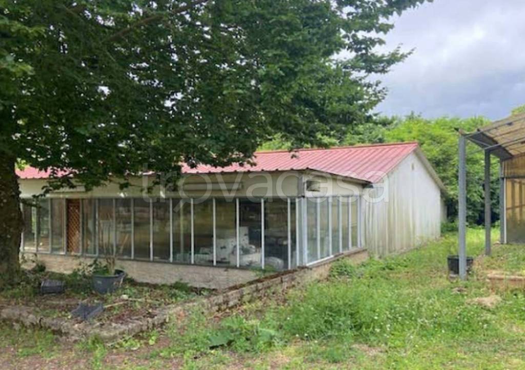 immagine annuncio 6 di 11