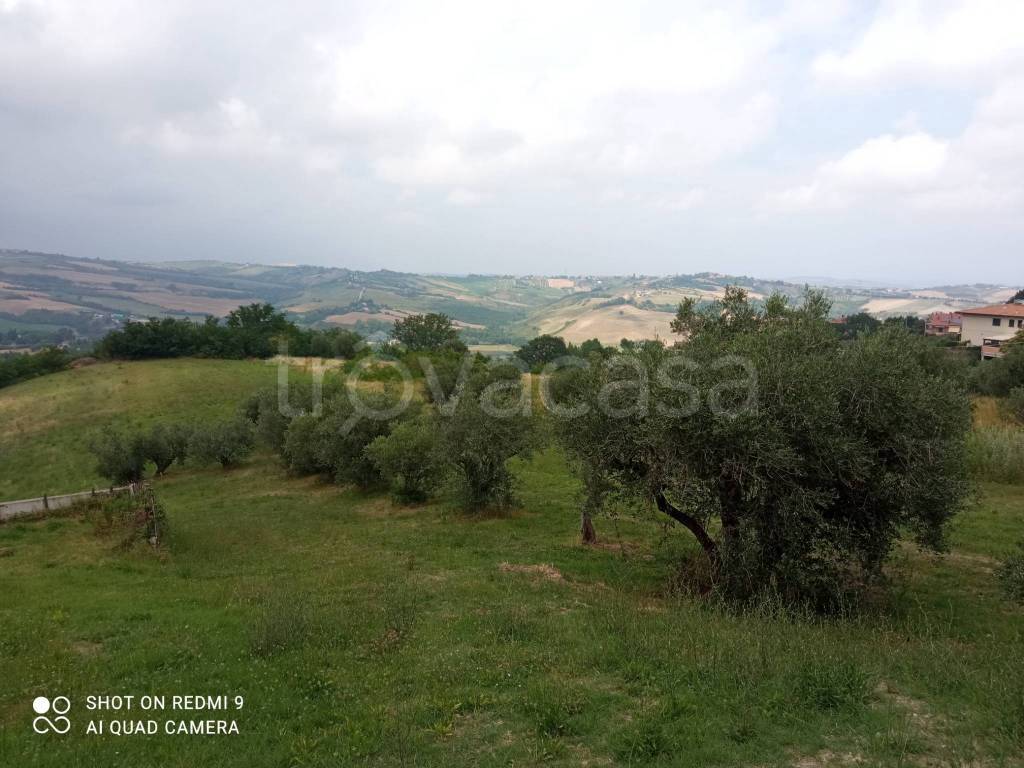 immagine annuncio 5 di 6