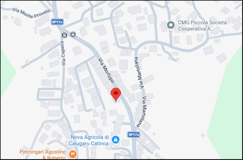 immagine annuncio 10 di 12