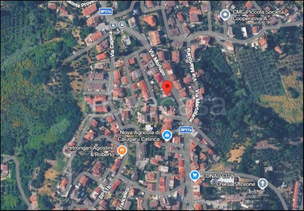 immagine annuncio 11 di 12