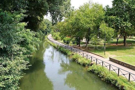 immagine annuncio 4 di 6