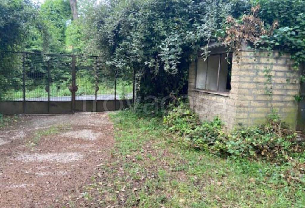 immagine annuncio 9 di 11