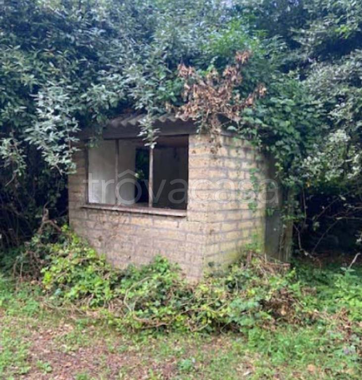 immagine annuncio 10 di 11