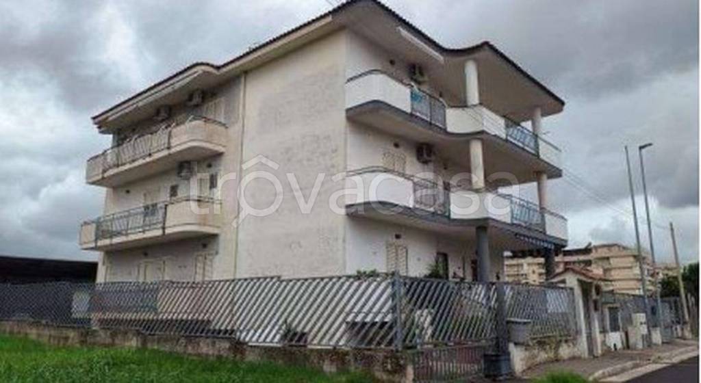 immagine annuncio 12 di 14