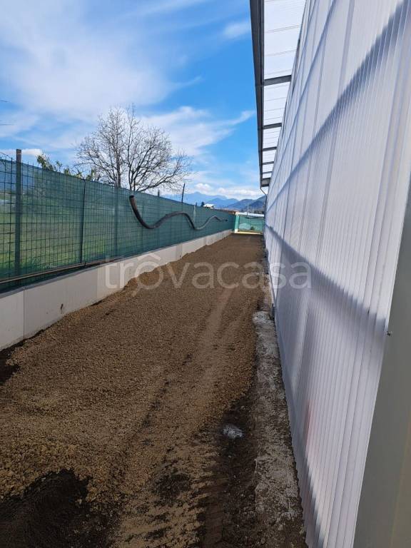 immagine annuncio 3 di 4