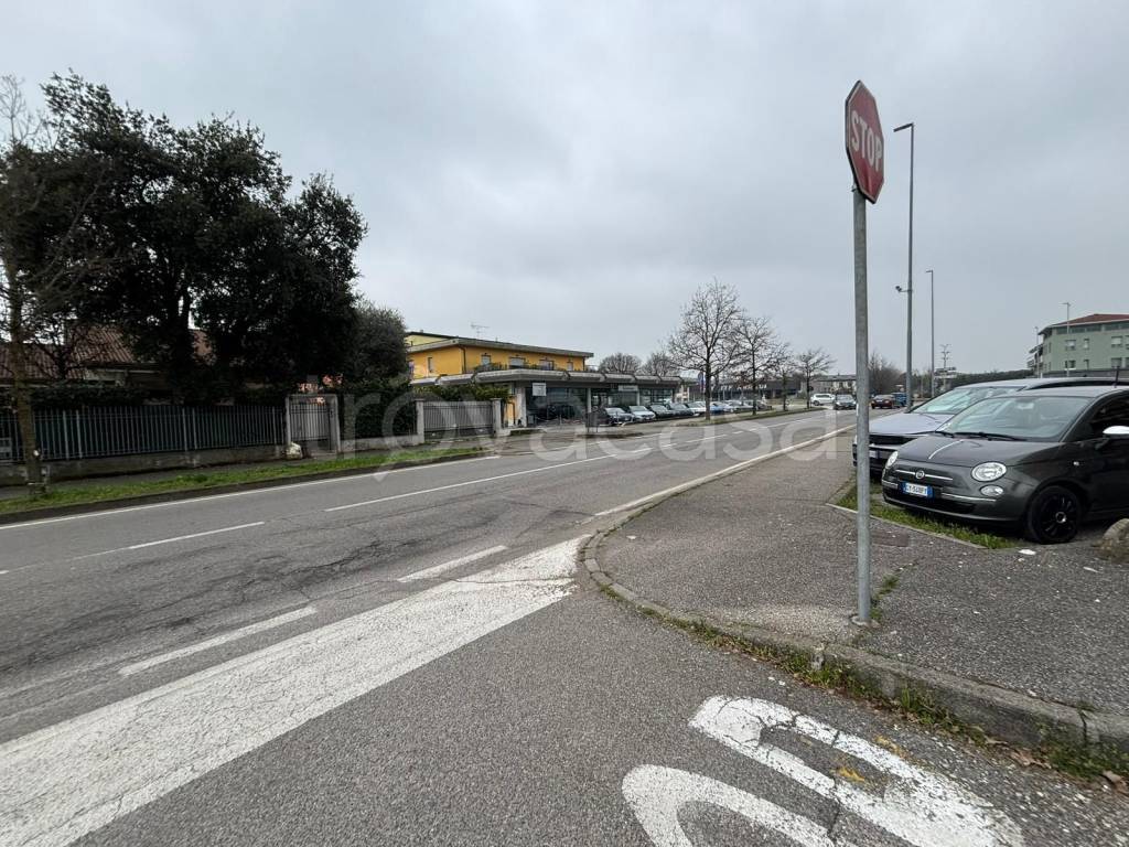 immagine annuncio 10 di 11