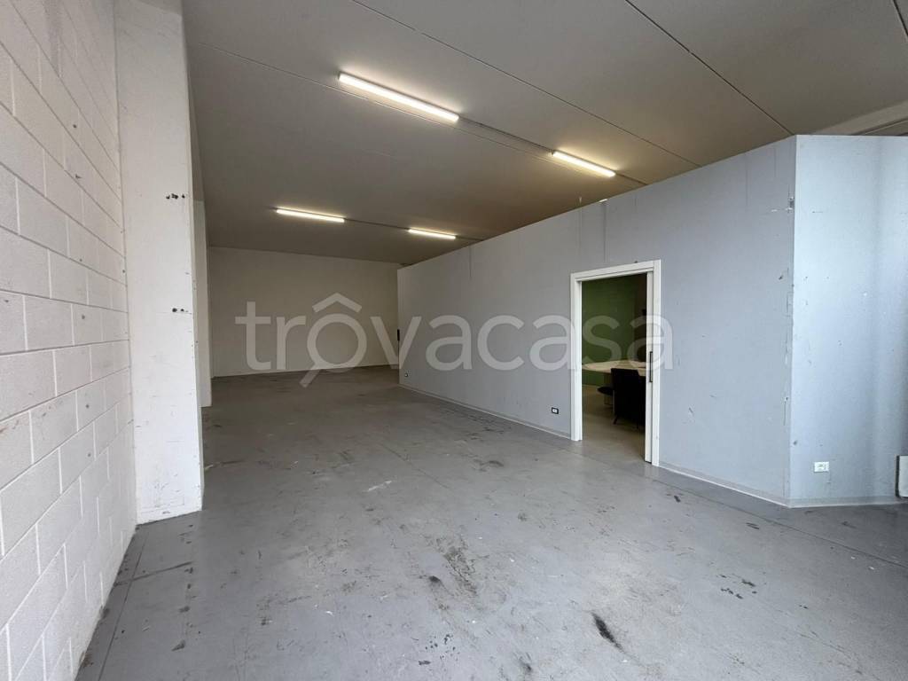 immagine annuncio 5 di 11