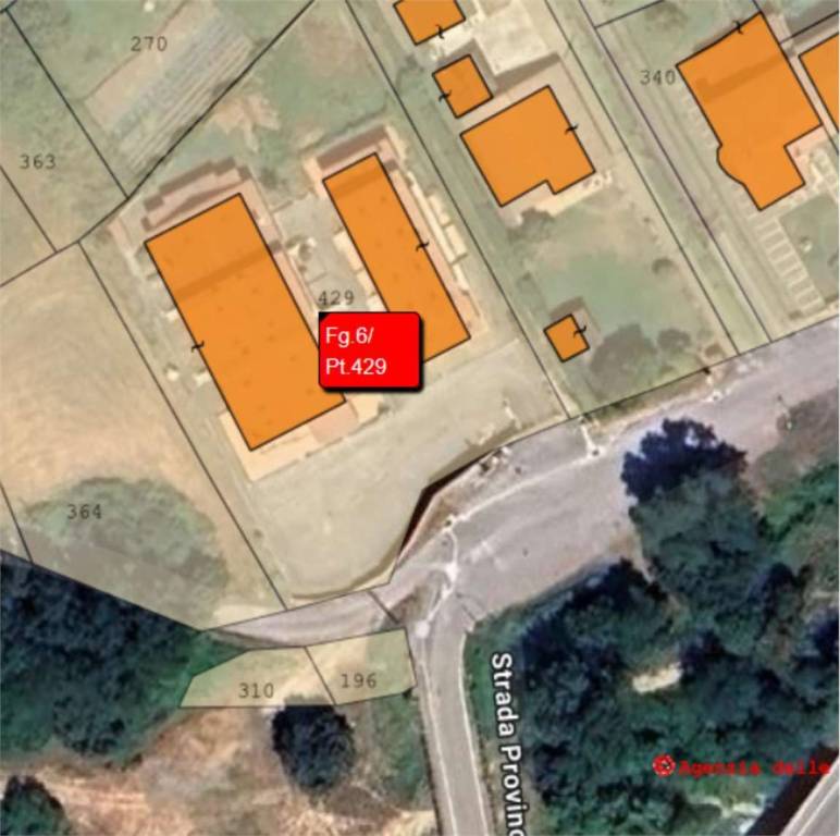 immagine annuncio 8 di 15