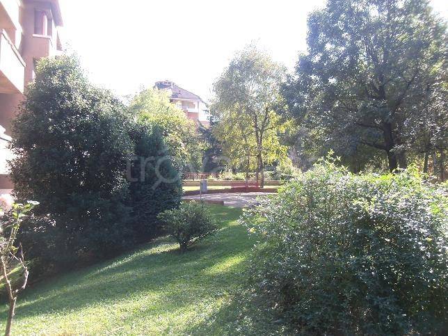 immagine annuncio 7 di 9