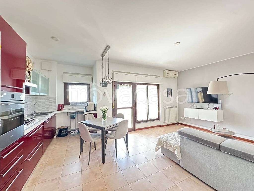 immagine annuncio 2 di 15