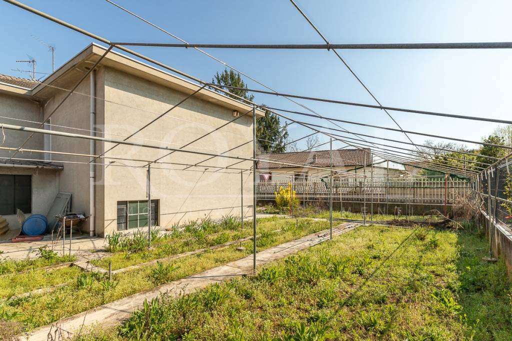 immagine annuncio 10 di 12