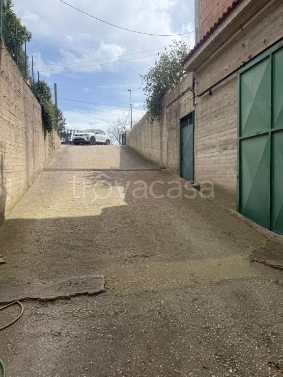 immagine annuncio 6 di 11