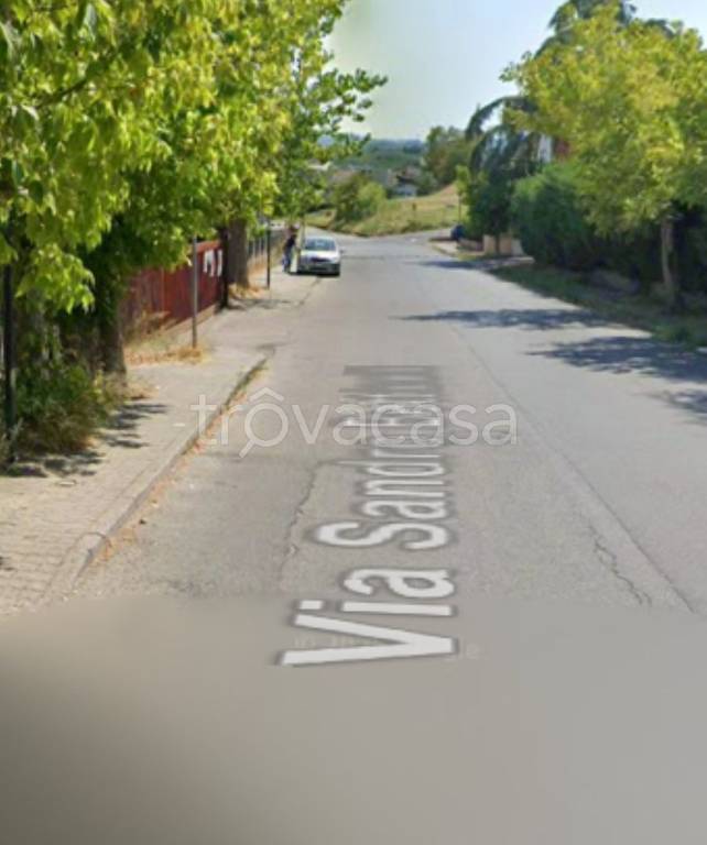 immagine annuncio 3 di 11