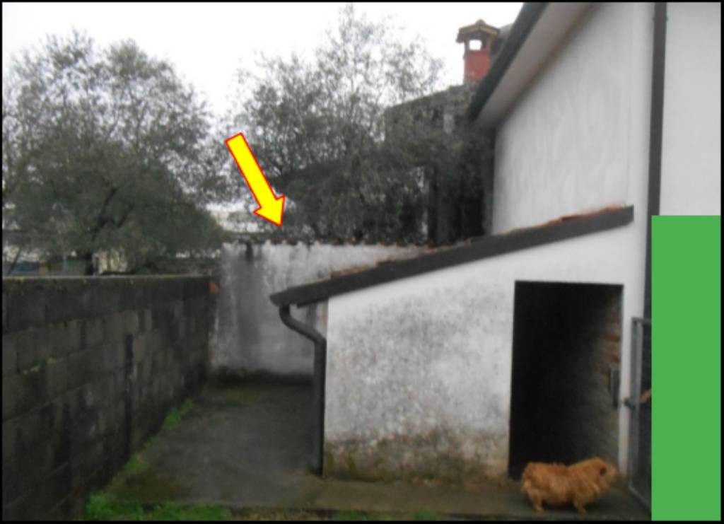 immagine annuncio 7 di 12