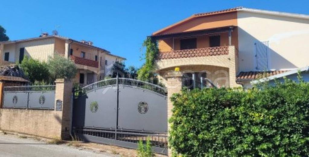 immagine annuncio 7 di 14