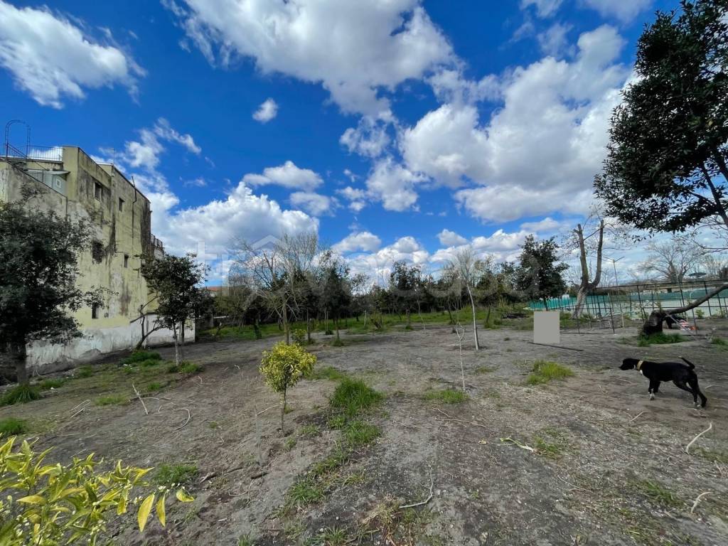 immagine annuncio 2 di 4