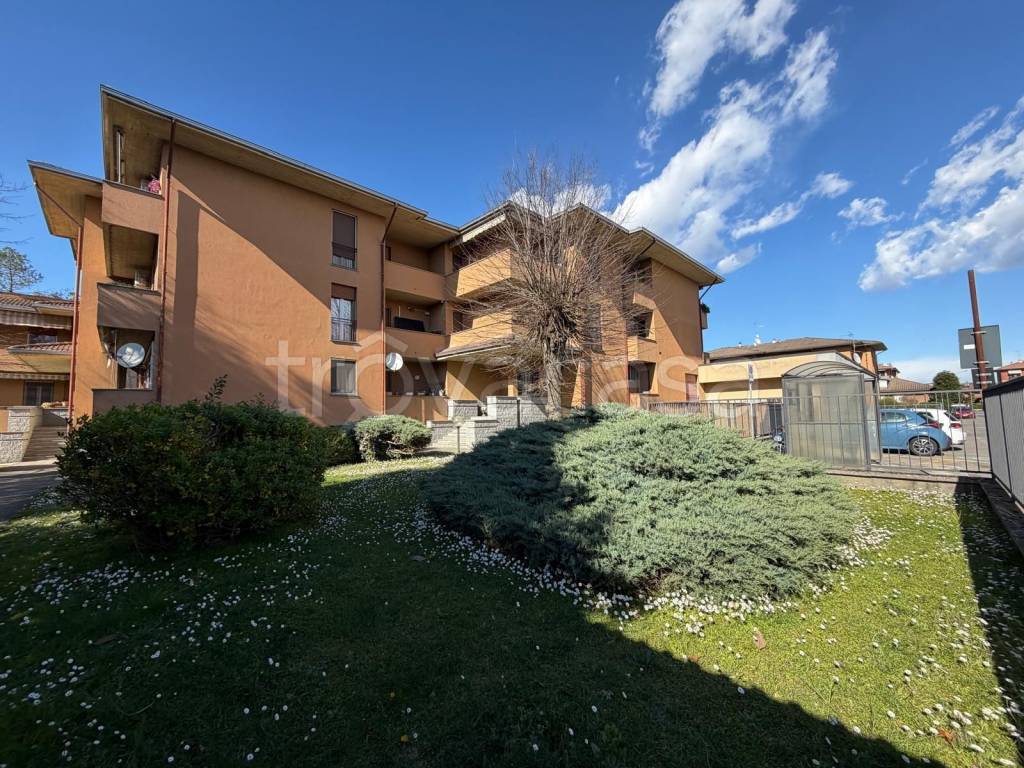 immagine annuncio 1 di 15