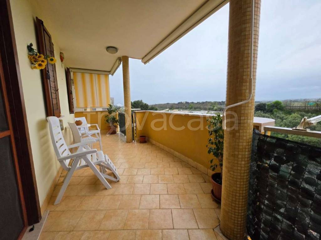 immagine annuncio 6 di 12