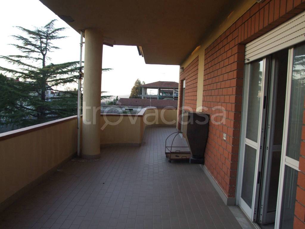 immagine annuncio 5 di 9