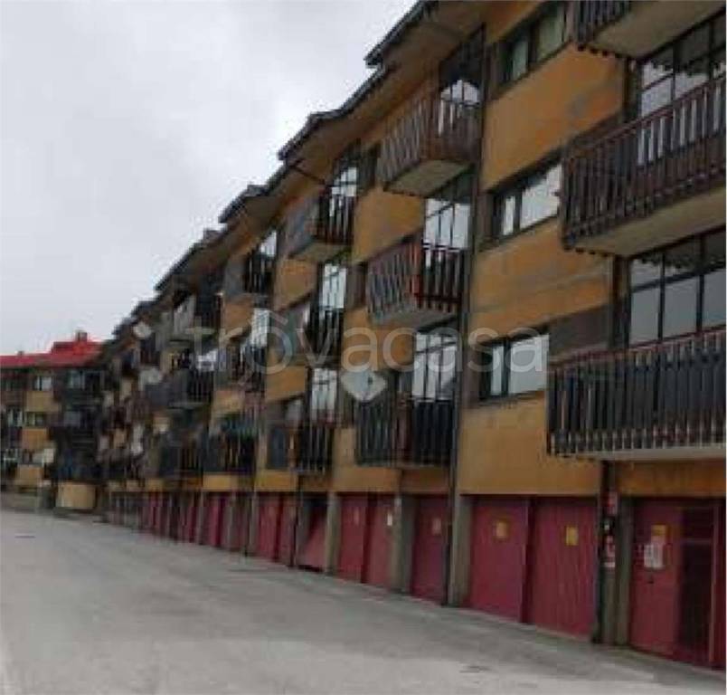 immagine annuncio 11 di 14