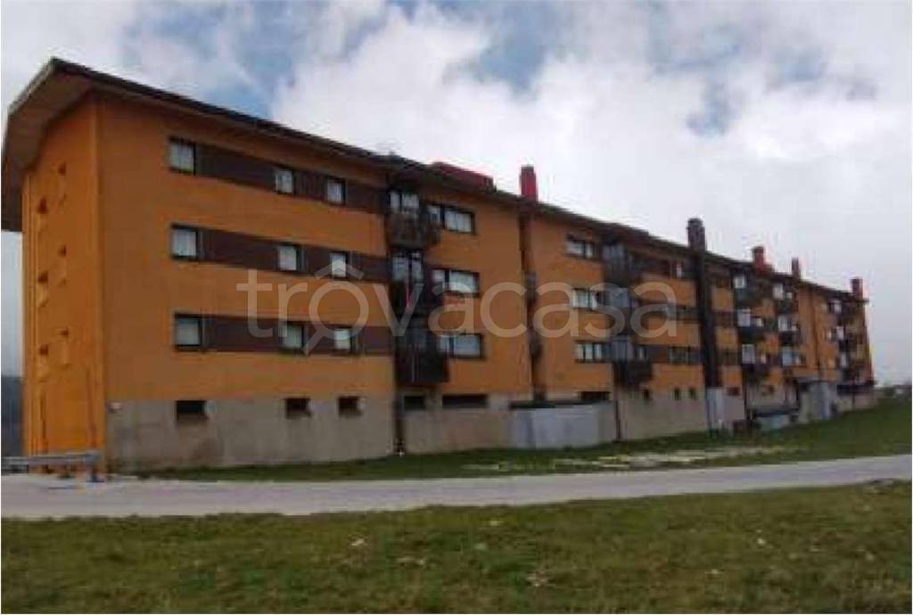 immagine annuncio 12 di 14