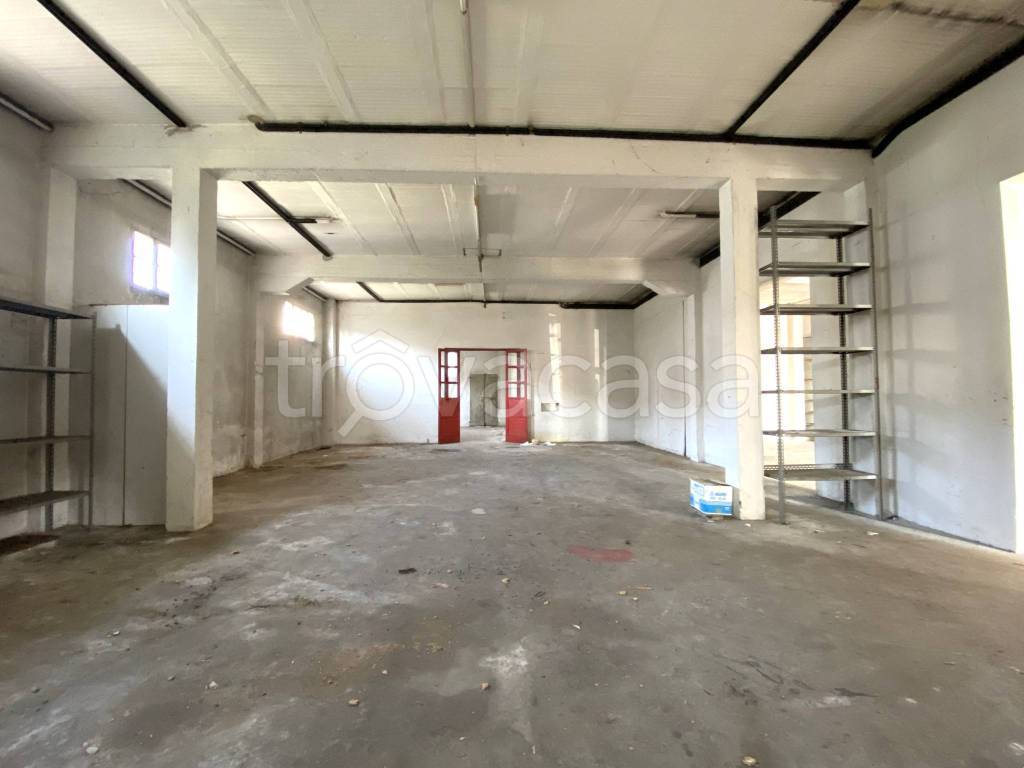 immagine annuncio 4 di 8