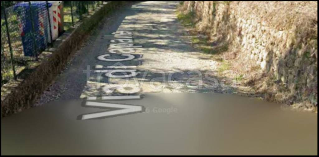 immagine annuncio 5 di 12