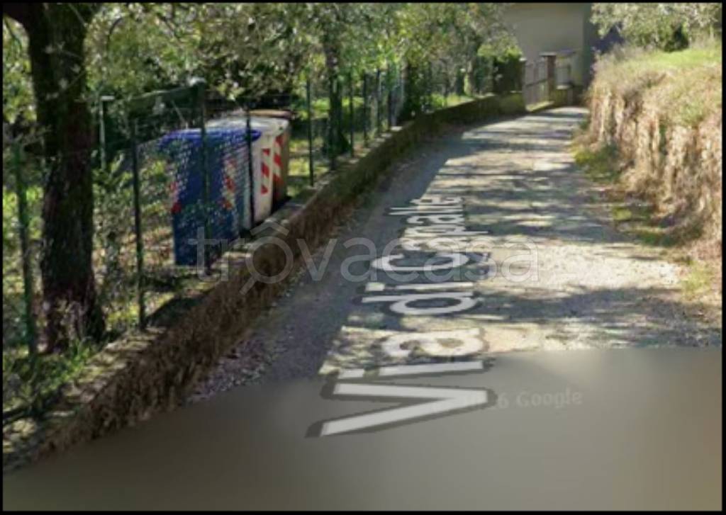 immagine annuncio 8 di 12