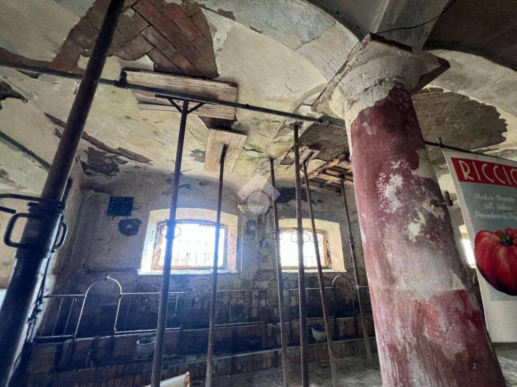 immagine annuncio 3 di 6