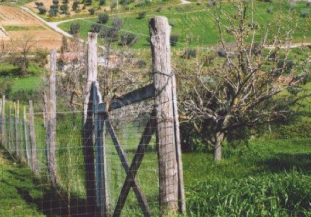 immagine annuncio 6 di 12